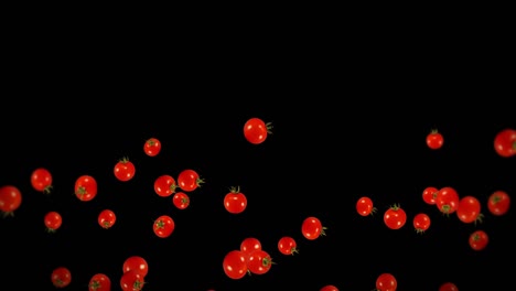 flying many fresh tomatoes on black background. organic vegetables. ripe juicy cherry tomatoes. 3d loop animation of tomato rotating.