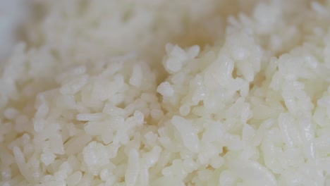 closeup of cooked white rice