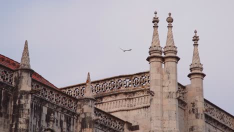 bird flying over a monument