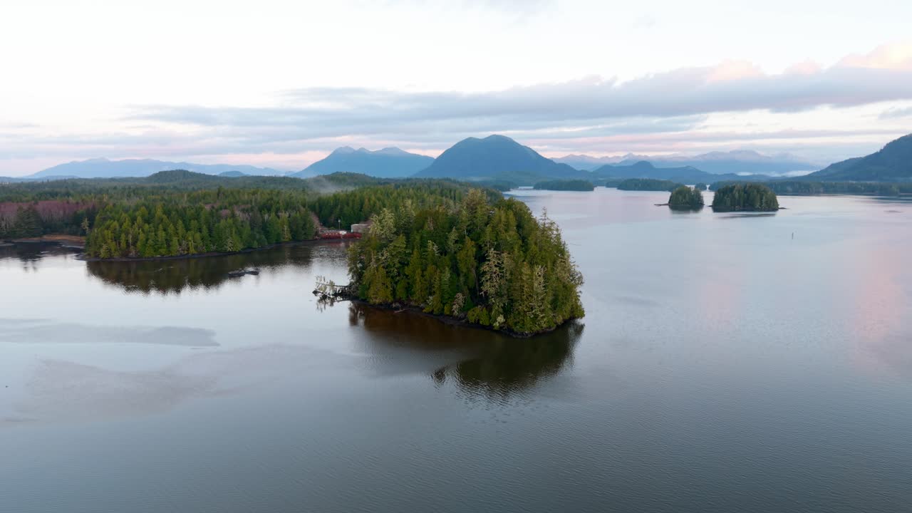 tomada de drone de tofino en la isla de vancouver que muestra colores de otoño, costa escarpada y olas del océano en una vista aérea panorámica.
