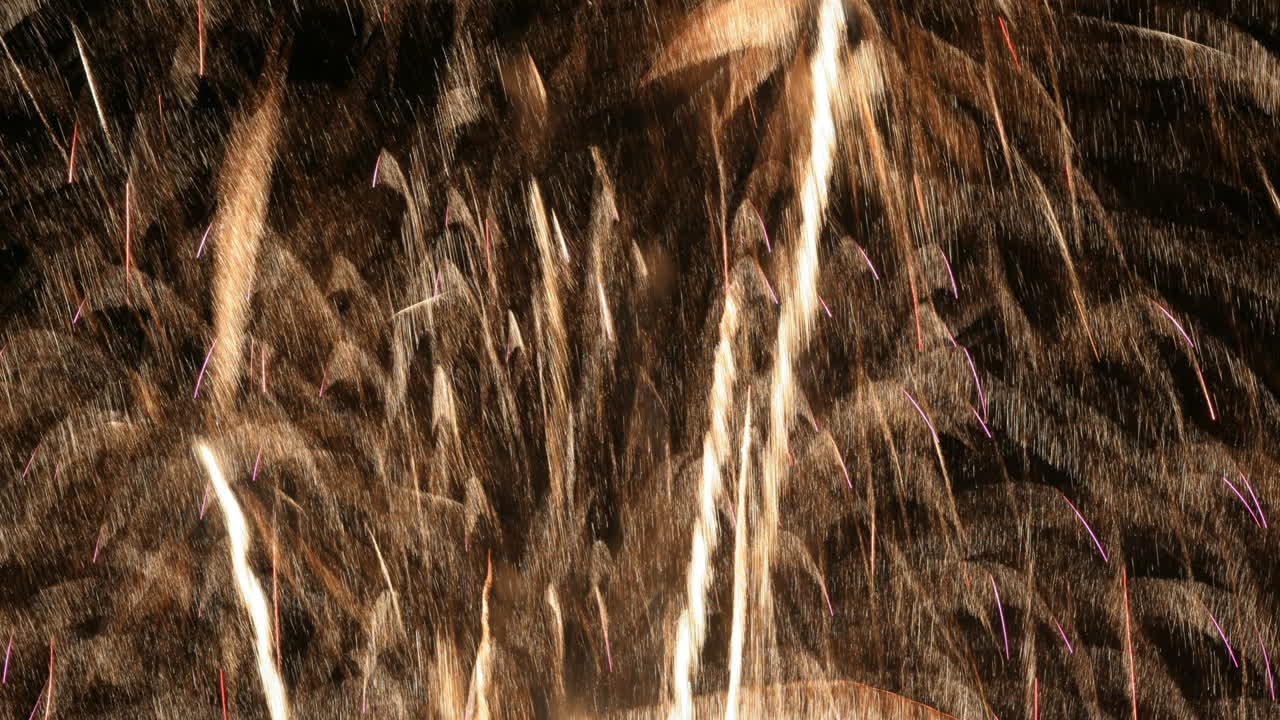 발렌시아 불꽃놀이 00