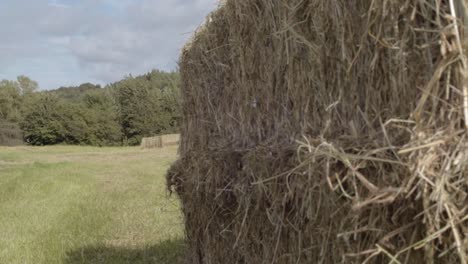 fardos de feno no campo dos agricultores tiro panorâmico médio