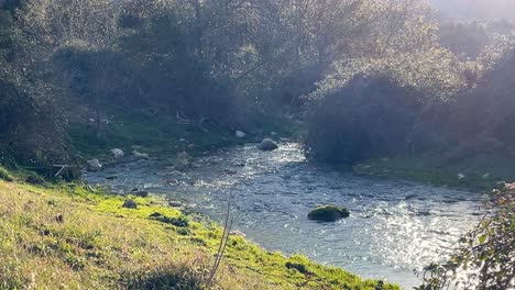 we see the course of a stream in a curve with water running, insects flying and the rays of the evening sun projected on the grass on one of the banks on the other there is vegetation avila spain