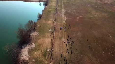 aerial view of a group of people walking and exercising their dogs off leash, near a coastline