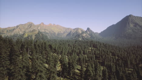 scenic landscape featuring lush forests and majestic mountains in daylight