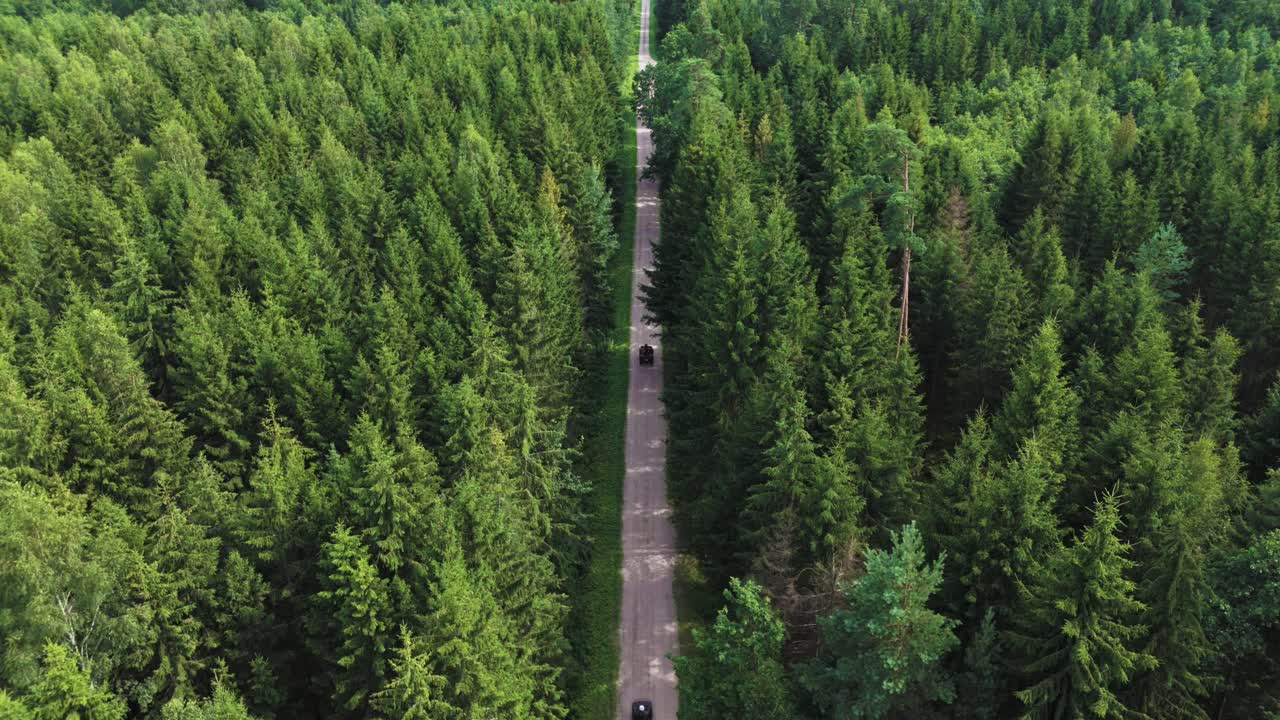 Friends on QUAD bikes riding on dirt road in deep forest, aerial follow view