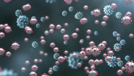 animación de las células del virus covid 19 sobre un fondo negro