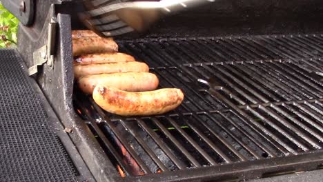 another beautiful day for a backyard bbq, today's menu will be hot italian sausage with sauteed onions and peppers.