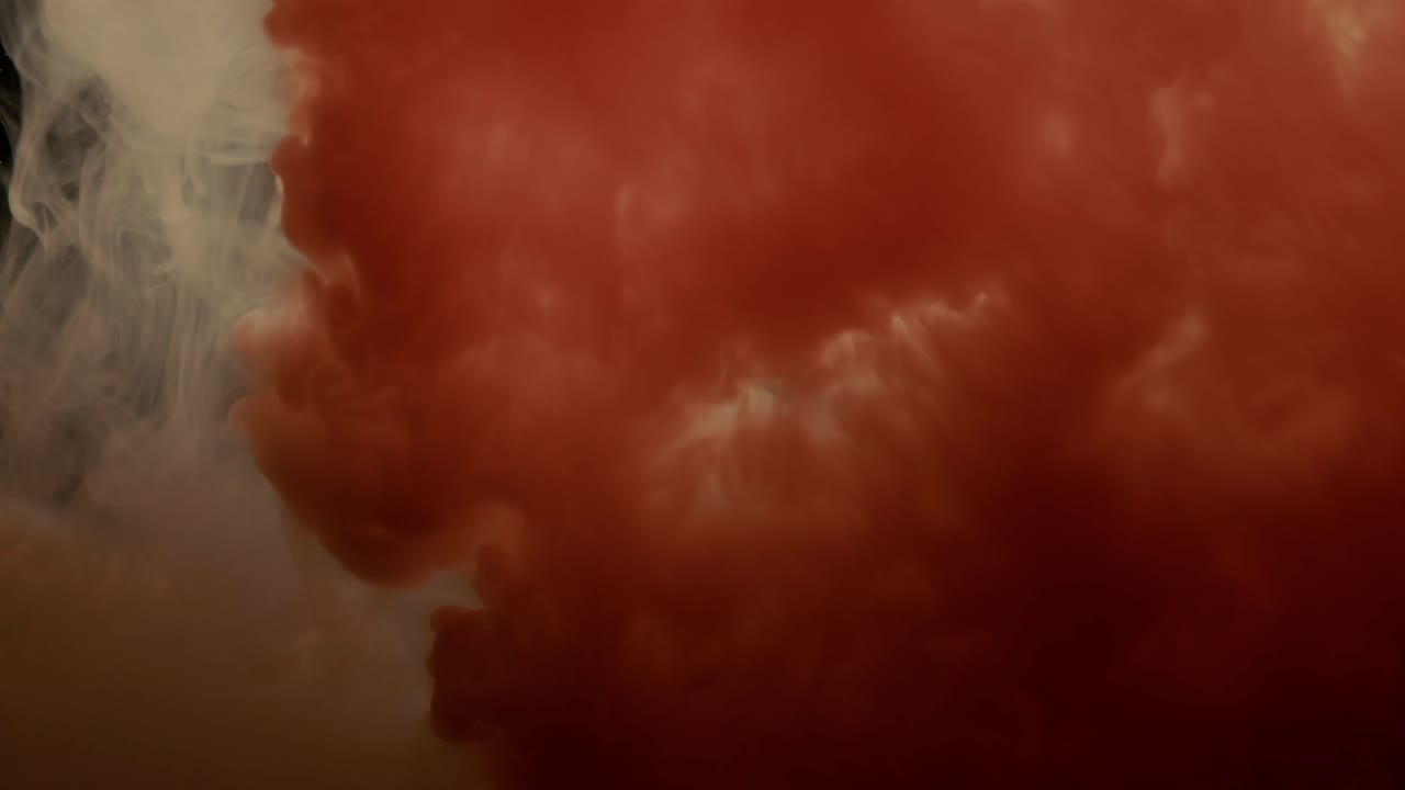 물고기  ⁇ 크 에 잉크 가 퍼지는 것