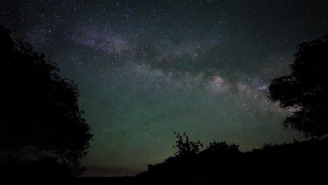 camino lácteo sobre los árboles por la noche