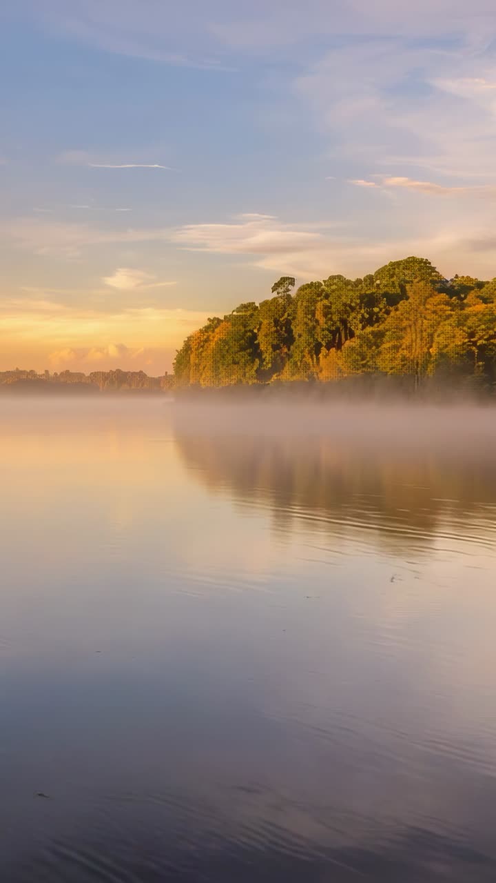 Video verticale: foschia che si dirada all'alba, riva alberata che riflette il cielo e lago increspato, spazio per il testo