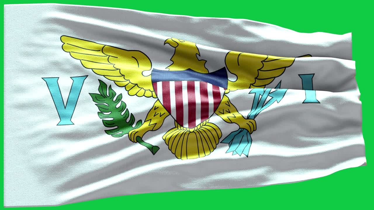 미국 버진 아일랜드의 4k 매우 상세한 발 - 미국 버진 섬의 발 높은 세부 사항 - 국가 발 미국 버진 제도 파동 패턴 루프 가능한 요소