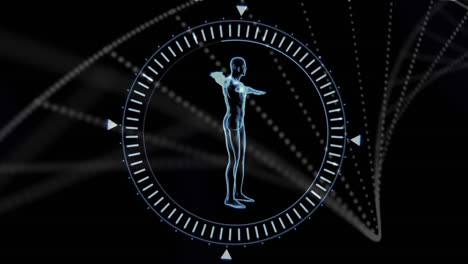 animación digital de un modelo humano girando contra la estructura del adn en fondo negro