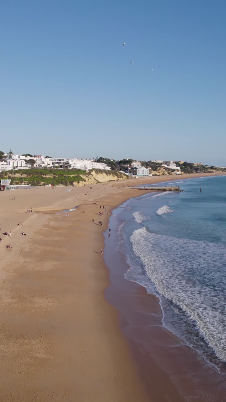 Vertikaler Drohnenüberflug, der Albufeiras sandige Küste und dramatische Klippen an der Algarve, Portugal, einfängt.