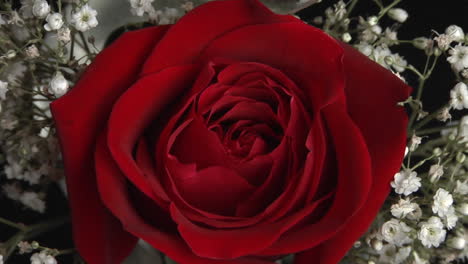 the center of a red rose in a bouquet surrounded by babies breath