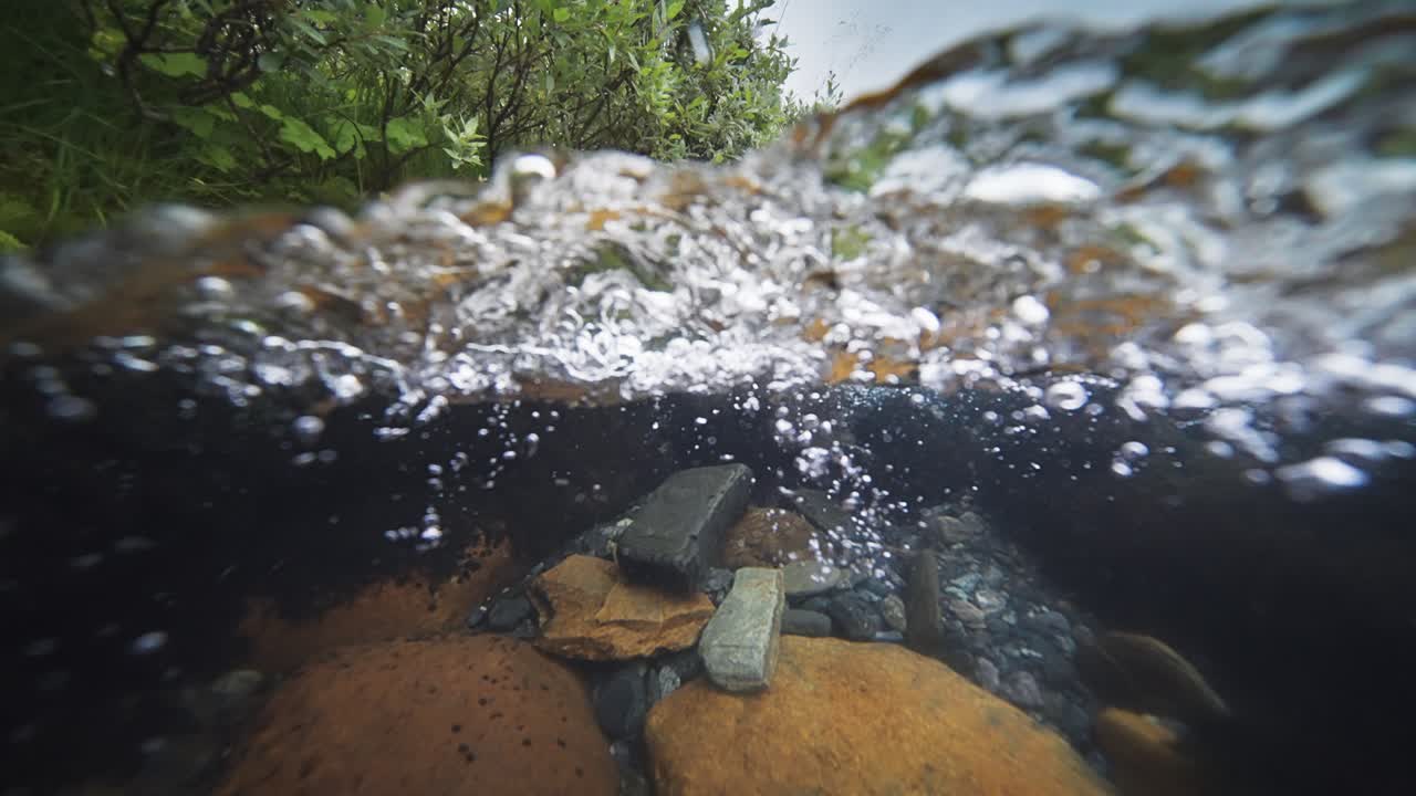 Una vista divisa tra sopra e sotto l'acqua del fiume poco profondo con fondale roccioso e sponde coperte di vegetazione.