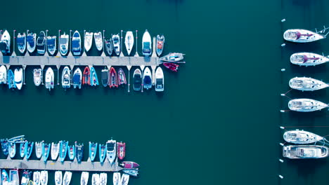 aerial view of marina with aligned boats