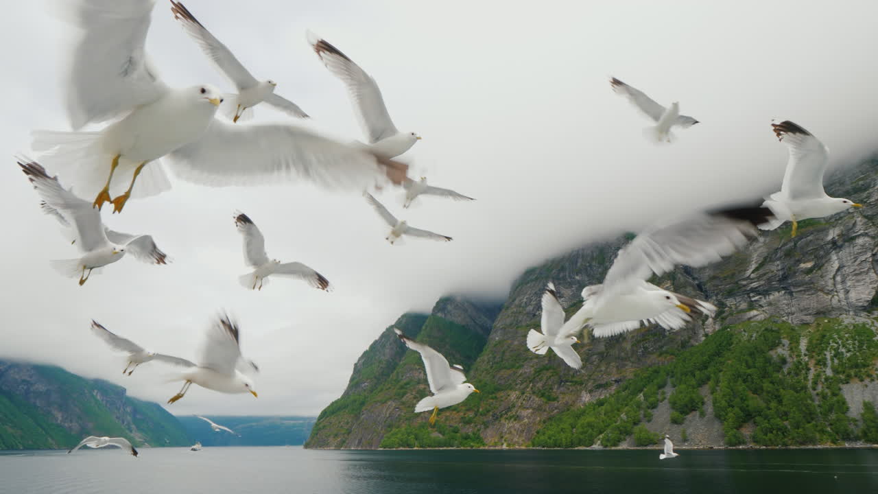 배에서 노르웨이의 그림 같은 피요르드를 따라 크루즈