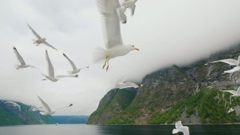 Kreuzfahrt-Entlang-Des-Malerischen-Fjords-In-Norwegen-Blick-Vom-Schiff-Aus