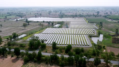 Photovoltaik-Solarzellen-In-Der-Landwirtschaft-Für-Erneuerbare-Energien