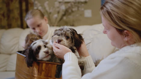Mother-and-daughter-spend-time-together,-playing-with-small-puppies-in-their-home