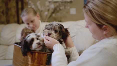 mother and daughter spend time together, playing with small puppies in their home