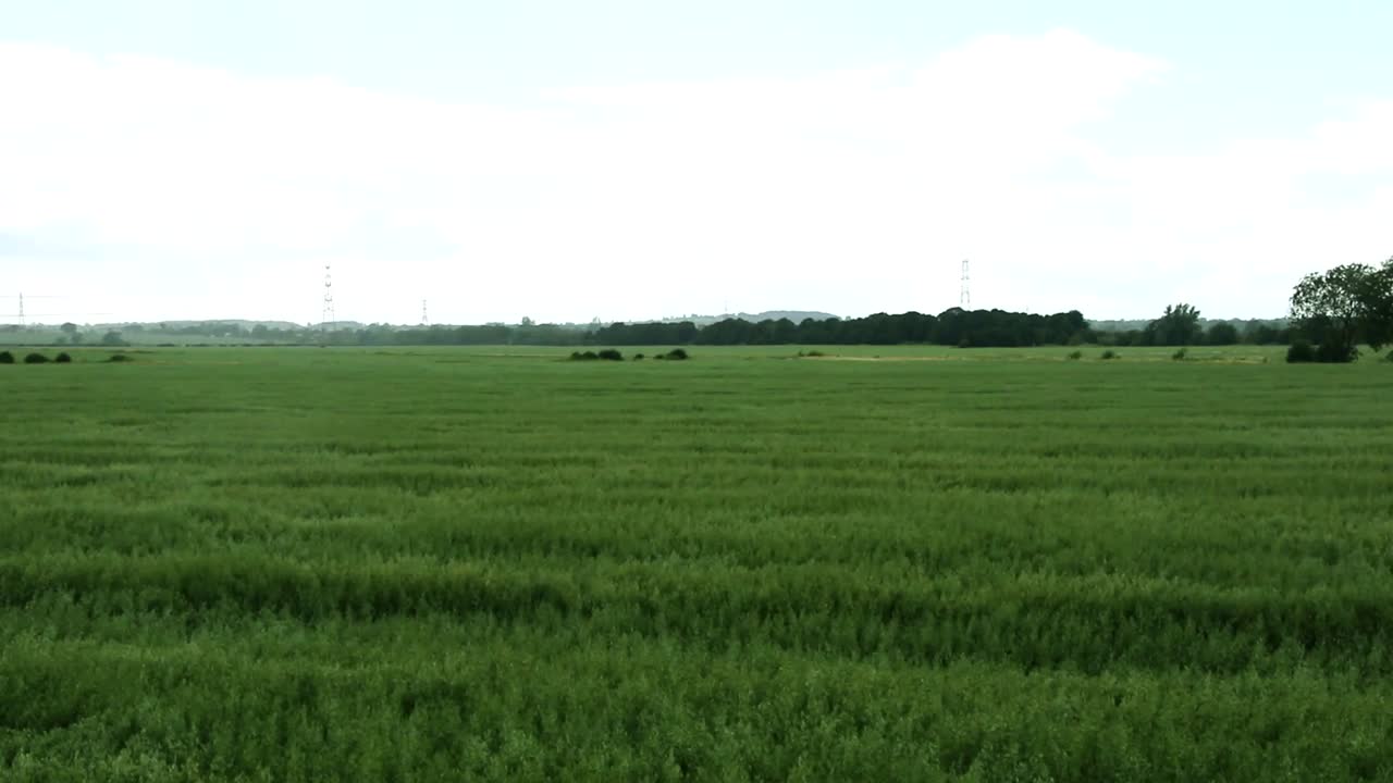 Fields wave around in the strong wings, in the beautiful countryside of the United Kingdom