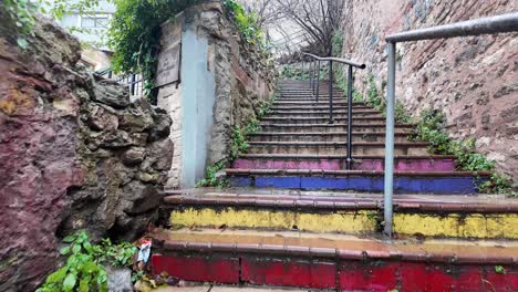 stone and brick stairs with vegetation