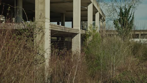 overgrown remnants of zagreb's abandoned university hospital