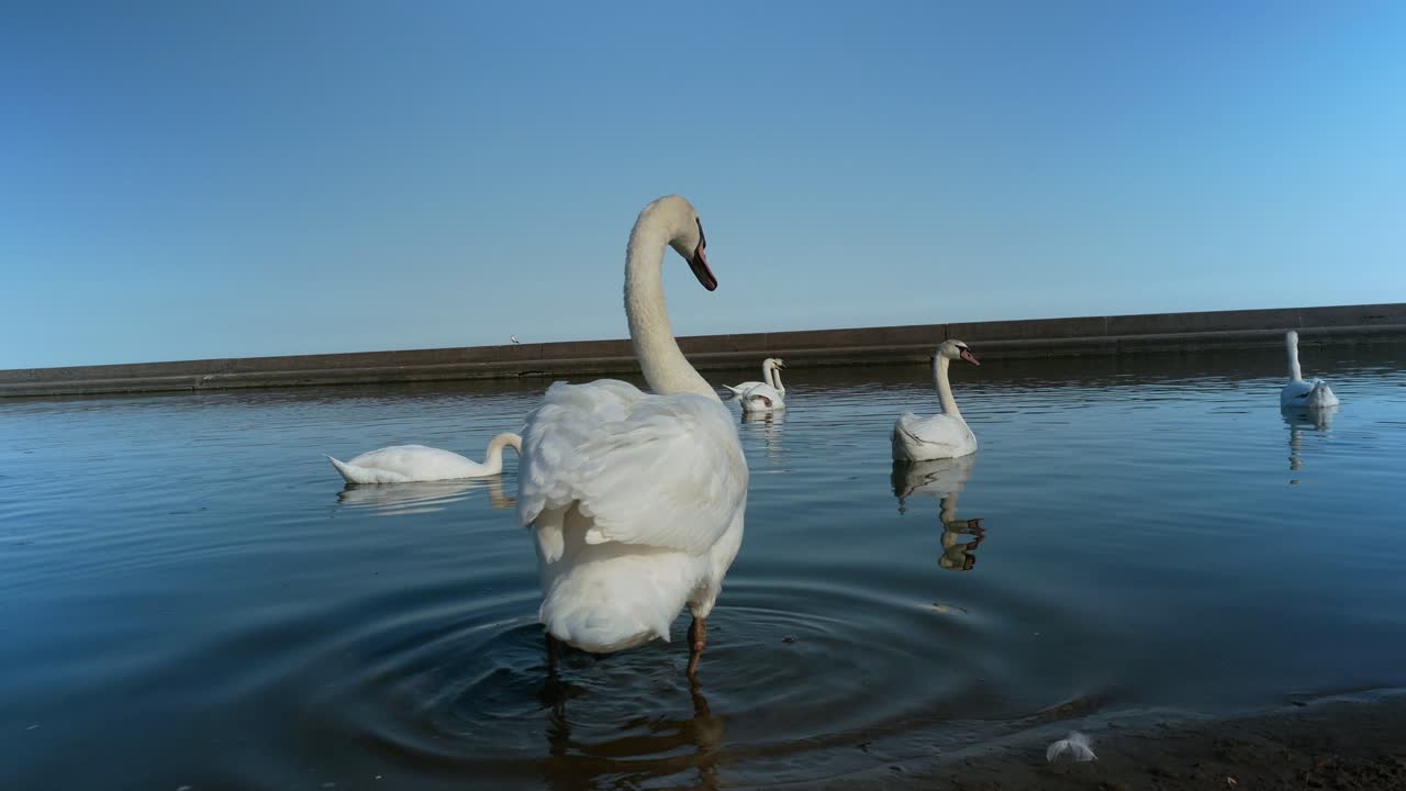 canada lake ontario summer water lakeshore toronto etobicoke water humber