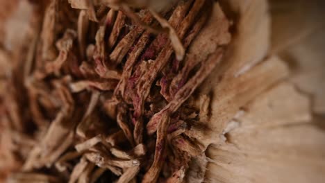 primer plano de ajo, raíces de un bulbo de ajo moviéndose lentamente más allá de la cámara