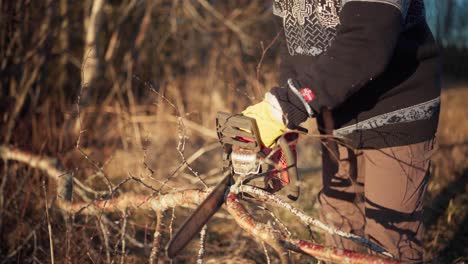 a man using a chainsaw to cut firewood - close up