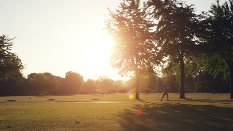 Road-runner-woman-running-in-park-in-the-morning-motion-track-high-definition-video