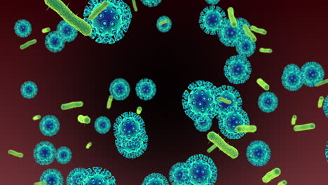 microscopic view of viruses and bacteria