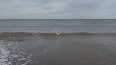 aerial footage from three surfers in the ocean