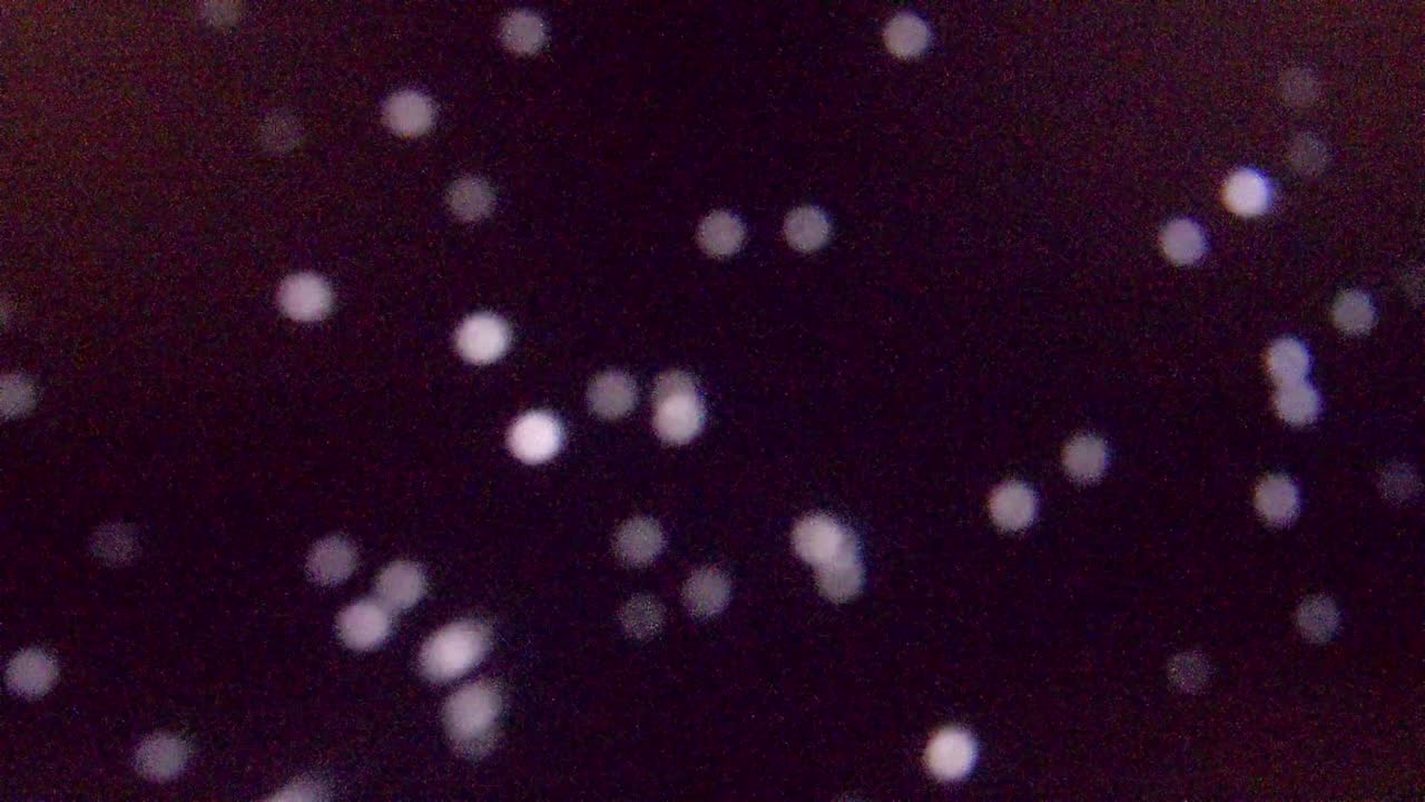 small white spots
