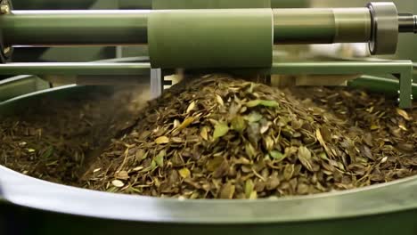 tea leaves processing