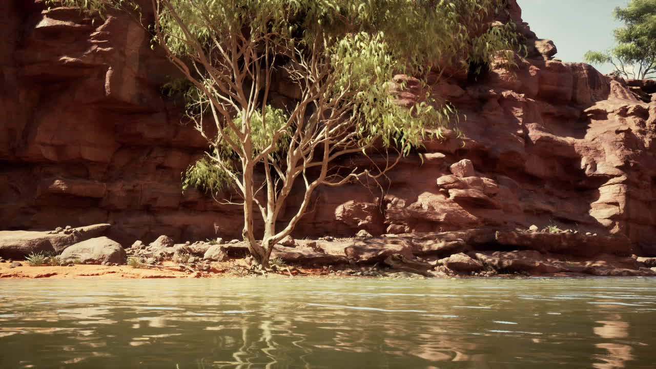 Scena fluviale del Red Rock Canyon
