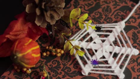 Halloween-Ornamente.-Spinnennetzspinne-Und-Herbstnatur
