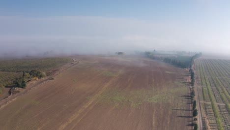 aerial view of misty farmland