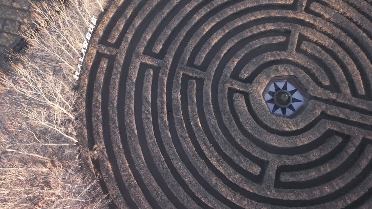 Large circular human-sized hedge maze in Malargue, Mendoza, featuring late autumn light and surrounding stark trees. High top-down aerial in 4K