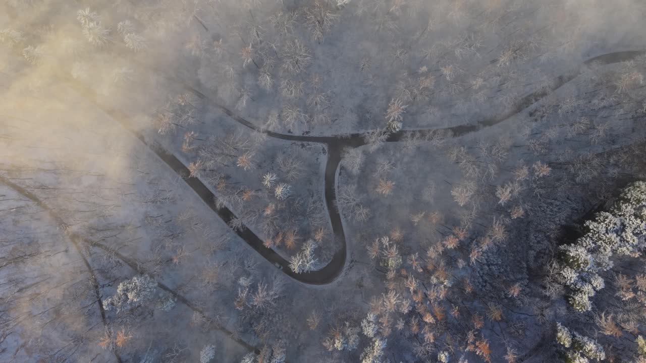 A top-down aerial view of a winding road cutting through a snow-covered forest in winter. Frosted trees and soft morning light create a peaceful and atmospheric seasonal landscape
