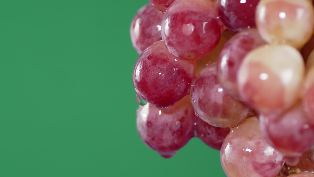 With branches of ripe red grapes water flows.