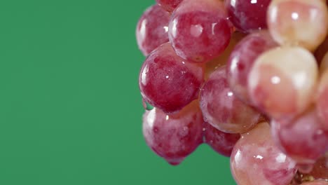 with branches of ripe red grapes water flows.