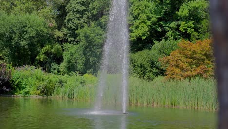 Tiro-Inclinado-De-Una-Fuente-En-El-Lago-En-Türkenschanzpark-En-Viena-Durante-Un-Día-Soleado