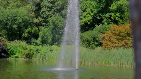 tilt up shot of fountain on the lake in türkenschanzpark in vienna during a sunny day