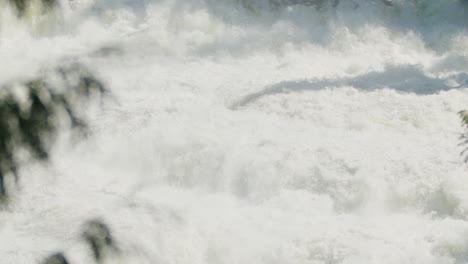 following the rapids of dawson falls, canada