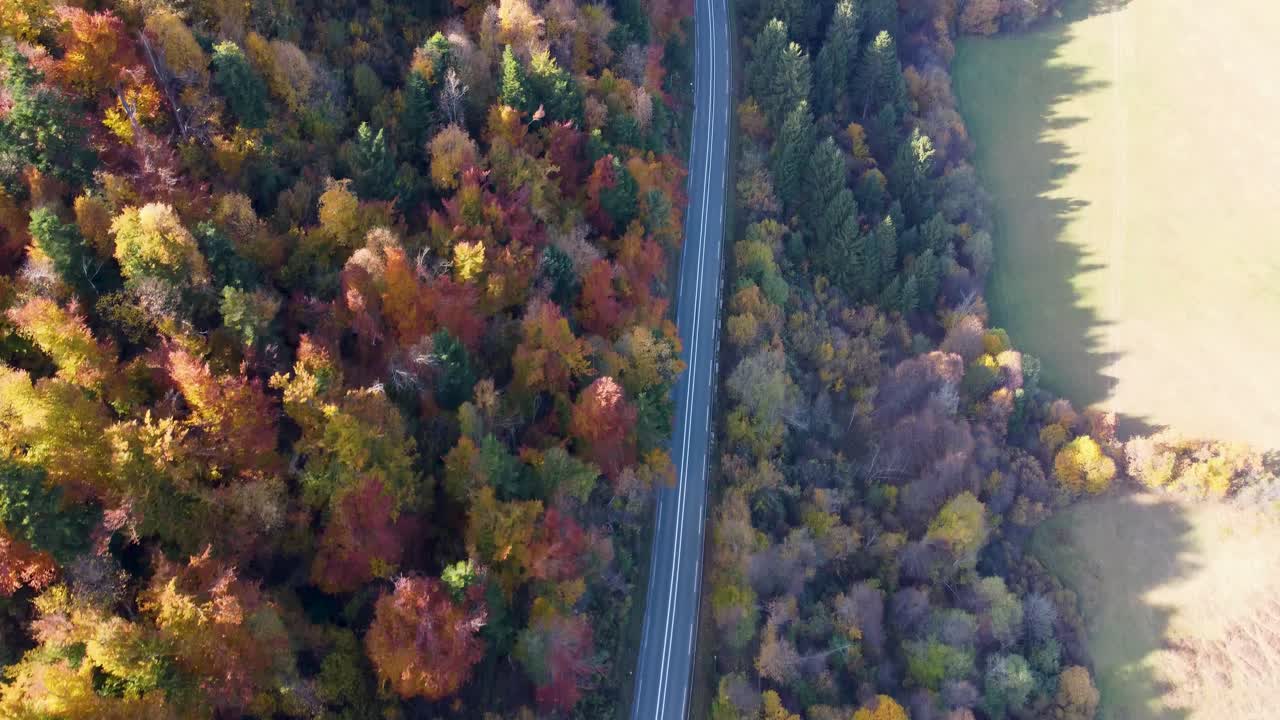 슬로베니아 시골 의 로드 트립, 다채로운 숲 에 있는 경치 좋은 도로 를 비행 하는 드론