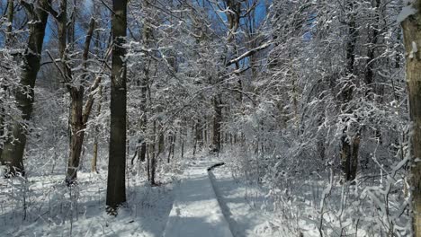 Slomo-POV-of-snowy-walking-path-during-winter-through-dense-white-frozen-forest