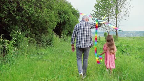 rear view of caucasian senior man and his little granddaughter playing with a kite in the park on a sunny day